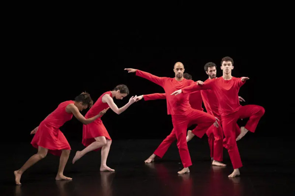 Twelve Ton Rose Foto: Laurent Philippe